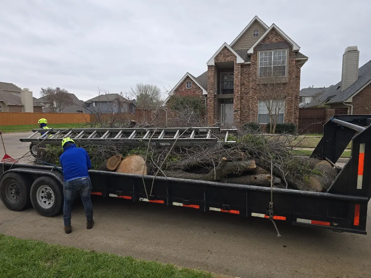 Expert Tree Fertilization with proper safety equipment in Forest City